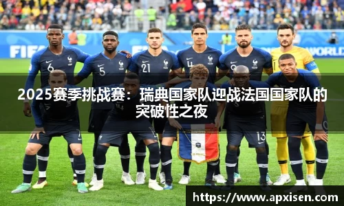 2025赛季挑战赛：瑞典国家队迎战法国国家队的突破性之夜