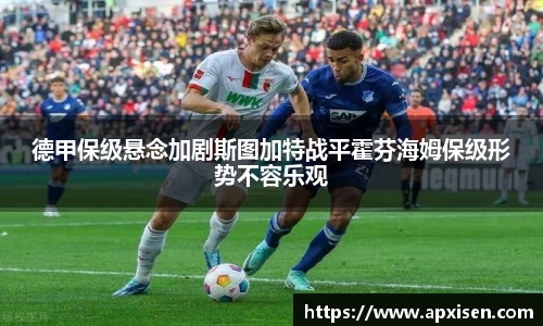 球速体育平台